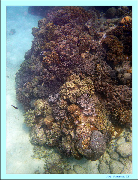 2012 - 07 - Apoh Island 46